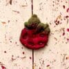 Biscuit Floral Hay Party Mix Treats for Rabbit, Gerbil, Hamster, Guinea Pig and Other Small Rodents
