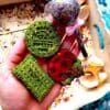 Biscuit Floral Hay Party Mix Treats for Rabbit, Gerbil, Hamster, Guinea Pig and Other Small Rodents