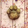 Timothy Hay Forage Paw Grass Treat. Rabbit Treat, Chinchilla Treat, Gerbil Treat, Hamster Treat, Hay Treat, Guinea Pig Treat Small Animal