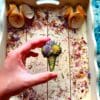 Floral Ice Cream Sccop and Cone Treat for Rabbit, Gerbil, Hamster, Guinea Pigs and Other Small Rodent