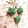 Mini Flower and Star Treat for Rabbits, Gerbil, Hamsters, Guinea Pig and Other Small Rodent