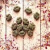 Mini Paw Cone Treat for Rabbits, Gerbil, Hamster, Guinea Pig and Other Small Rodents
