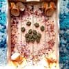 Mini Paw Cone Treat for Rabbits, Gerbil, Hamster, Guinea Pig and Other Small Rodents