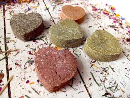Multi Colored Hearts Treat for Rabbits, Gerbil, Hamster, Guinea Pigs and Other Small Rodents