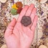 Timothy Hay Multi Color Flower Treats for Rabbit, Guinea Pig, Hamster, Chinchilla and Small Animal
