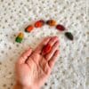 Timothy Hay Multi Color Gnocchi Treat Rabbit Treat, Chinchilla Treat, Hamster Treat, Guinea Pig Treat, Gerbil, Rat and Small Animal Treat