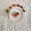 Timothy Hay Multi Color Gnocchi Treat Rabbit Treat, Chinchilla Treat, Hamster Treat, Guinea Pig Treat, Gerbil, Rat and Small Animal Treat