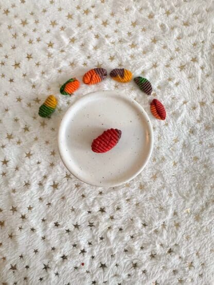 Timothy Hay Multi Color Gnocchi Treat Rabbit Treat, Chinchilla Treat, Hamster Treat, Guinea Pig Treat, Gerbil, Rat and Small Animal Treat