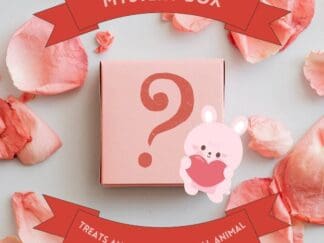 Mystery Box. A Delightful Surprise for You and Your Furry Friend. Good for Bunny, Hamster, Guinea Pig and Chinchilla