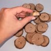 Apple Wood Coin Slices Chew Treat. Rabbit Treat, Chinchilla Treat, Hamster Treat, Guinea Pig Treat, Gerbil Treat and Small Animal Treat