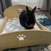 Elevated Rabbits Heart and Footprint Design Wooden Pet Bed with Detachable Portable Parts for Indoor and Outdoor Use